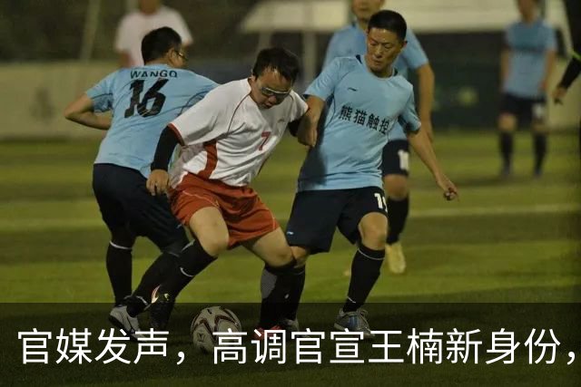 官媒发声，高调官宣王楠新身份，资产查封被带走调查传闻早有真相